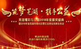 芜湖发布2018年福彩社会责任报告